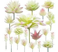 Cayway 20 PCS Artificial Succulents Picks Creamy White Artificial Succulent Plants, Fake Succulent Assortment in Flocked in Different Type for Indoor and Outdoor Home Decor Floral Arrangements