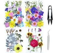 Cayway 4 Pack Pressed Flowers Natural Dried Flowers Colorful Resin Flowers Real Pressed Flowers for Resin Scrapbook DIY Art Crafts, Epoxy Resin Jewelry, Card Making Supplies, Style J