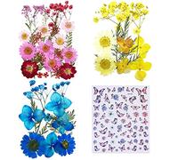 Cayway 4 Style Pressed Flowers Natural Dried Flowers Colorful Resin Flowers Real Pressed Flowers with Butterfly Sticker for Resin Scrapbooking DIY Art Crafts, Epoxy Resin Jewelry Supplies