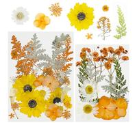 Cayway 40 PCS Dried Pressed Flower, Orange Pressed Flowers for Resin, Real Nature Pressing Floral Leaves for DIY Craft, Jewelry Making, Candle Scrapbooking Supplies