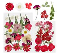 Cayway 40 PCS Dried Pressed Flower, Red Pressed Flowers for Resin, Real Nature Pressing Floral Leaves for DIY Craft, Jewelry Making, Candle Scrapbooking Supplies