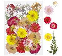 Cayway 40 PCS Dried Pressed Flowers for Resin, Real Pressed Flowers Dry Leaves Kit Natural Dried Pressed Leaves for Art Crafts Resin Scrapbook Supplies Soap Candle DIY, Pink and Red Rose