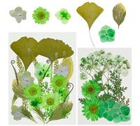 Cayway 40 PCS Pressed Flowers Natural Dried Flowers Green Resin Flowers Real Pressed Flowers for Resin Scrapbook DIY Art Crafts, Epoxy Resin Jewelry Supplies