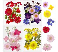 Cayway 48 PCS Natural Dried Flowers, Pressed Flowers, Colorful Resin Flowers Real Pressed Flowers for Resin Scrapbooking, Epoxy Resin Jewelry, Card Making Supplies, DIY Art Crafts
