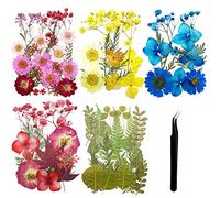 Cayway 5 Style Natural Dried Flowers and Leaves, With Tweezers and Scissors for Pressed Art DIY Decorations