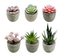 Cayway 6 PCS Artificial Succulents Plants, Mini Fake Plants in Pots, Small Succulents Plants Artificial for Office Desk Home Living Room Table Decor Indoor