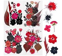 Cayway 64 PCS Dried Pressed Flowers for Resin, Red and Black Real Pressed Flowers, Dry Leaves Natural Dried Pressed Leaves for Christmas Art Crafts Resin (Red-Black-3)
