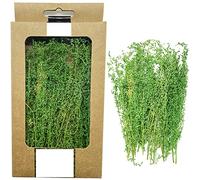 Cayway Miniature Shrubs Model Bushes Long Shrub Vegetation Groups Static Grass Tuft for DIY Model Train Landscape Railroad Scenery, Grass green