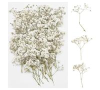 Cayway Natural Dried Pressed Flowers, 60 PCS Real Natural Pressed Flowers for Resin, Real Dried Pressed Flowers for Nail Art Scrapbooking Candle Jewelry Making, Celestial Flowers