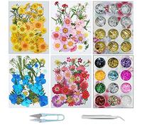 Cayway Natural Dried Pressed Flowers Leaves, Gold Leaf Flakes, Multiple Pressed Dry Flowers with Tweezers, Scissors for DIY Candle Resin Jewelry Nail Crafts Art Floral Decoration