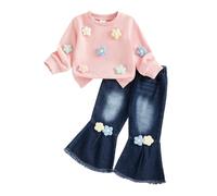 Caziffer Baby Girls Autumn Fall Outfits 3D Flower Embroidery Long Sleeve Crewneck Sweatshirt Pullovers Elastic Waist Denim Flare Pants Crochet Floral Jeans Sets (Pink, 3-4T)