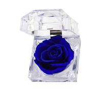 CAZSTYK ABS Jewelry Organizers Featuring Drying Plant Designs for Decorative Home Use and Efficient Accessory Management Dried Flower Display