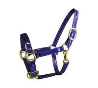 CAZSTYK Fashionable Leather Horse Headgear Horse Bridle Headstall with Golden Hardware Waterproof Design for Stable Use Horsemanship Headstall