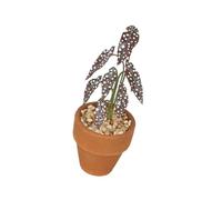 CAZSTYK Realistic Green Potted Tree Artificial Plant for Dollhouses Miniature Decoration Leaves Accessory Small Artificial Trees Dollhouses Decors