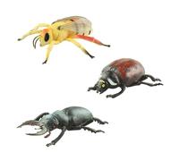 CAZSTYK Realistic Model Figurine Set of 3 for Kids Science Learning Educational Toy Detailed Figure Student Biology Cognitive Development Animal