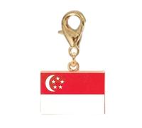 CAZSTYK Rectangular Flag Bracelet Charm Stainless Steel Travel Keychain Pendant Ornament with Secure Lobster Clasp for Wrist Chain Lobster Clasp Keyring