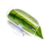 CAZSTYK Safe Fish Habitats Fish Breeding Versatiles Tunnel Aquariums Decoration For Hobbyists And Aquariums Operators Bettas Spawning Success