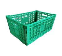 CAZSTYK Toy Sorting Storage Crate Foldable, Green ORDINARY