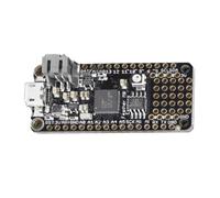CAZSTYK Upgrades 403 Plumage M0 Express Powerful ATSAMD21 M0 Development Board Explore Your Creativity for Hobbyists Gender Neutral Gadget
