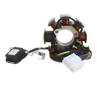 CB 200 CB200 Engine Spare Parts and Accessories 200cc DC 8 Pole Motorcycle Generator Magneto Stator Coil