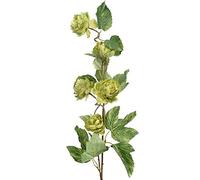 CB Imports Artificial Hop Spray Green