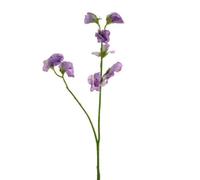 CB Imports Artificial Sweetpea Stem Lilac, Purple