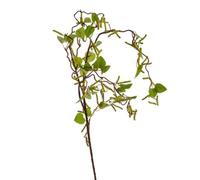 CB Imports Catkin and Leaf Branch 115 cm, Green