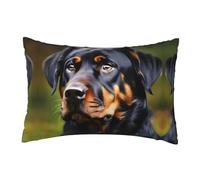 Cbaaghh Rottweiler Pattern Print Pillow Case 12x18in,Soft Decorative Throw Pillow Case With Hidden Zipper