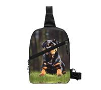 Cbaaghh Rottweiler Wallpaper Print Chest Package,Messenger Bag Sports Leisure For Travel & Daily Essentials