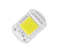CBFMFVFROR 1pcs F6040 COB LED Chip 20W 30W 50W AC 220V/110V Integrated LED Module Diode Light Beads, Fit for Outdoor Spotlight Garden Flood Light(Cold White,110V AC_50W)
