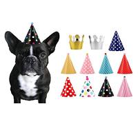 CBM Dog Party Hat Set - Dog Birthday Hats and Crowns - 11pcs