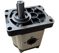 CBN-G320 316 325 Single Gear Pump High Pressure Gear Pump, Cast Iron Front and Rear (Color : CBN-G325 Left Round Key 16mm)