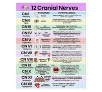CBQZCHWDKT Color-Coded Cranial Nerves Chart Poster - Visual Learning Tool for Neurology & Anatomy, Vibrant Educational Decor for School or Home Office(Framed,16x24inch(40x60cm))