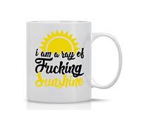 CBTwear I'm A Ray of Sunshine 11oz Sarcastic Funny Ceramic Coffee Mug and Tea Cup-Yet, Despite The Look On My Face, You're Still Talking-Of Course I Talk To Myself Sometimes-Need Expert Advice