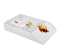 CBWERBB Reptile Feeding Box Dish, Tortoise Food Dish Plastic Tortoise Water Bowl, Water Food Bowls with Anti-Slip Ramp for Reptiles Such as Turtles, Horned Frogs, and Lizards (White, Large)