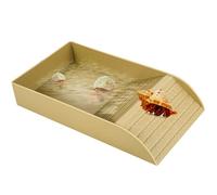 CBWERBB Reptile Feeding Box Dish, Tortoise Food Dish Plastic Tortoise Water Bowl, Water Food Bowls with Anti-Slip Ramp for Reptiles Such as Turtles, Horned Frogs, and Lizards (Brown, Small)