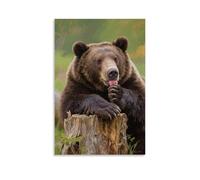 CBWVUWHJW A Brown Bear Lies on A Stump, Licking Its Paws Fashionable Wall Decor - Hanging Art Poster And Mural08x12inch(20x30cm)