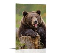 CBWVUWHJW A Brown Bear Lies on A Stump, Licking Its Paws Fashionable Wall Decor - Hanging Art Poster And Mural12x18inch(30x45cm)