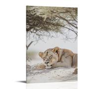 CBWVUWHJW A Lioness Resting Under Acacia Trees, Tawny Fur Melting Into The Soft Sands of A Pale Desert Field. Fashionable Wall Decor - Hanging Art Poster And Mural12x18inch(30x45cm)