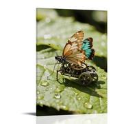 CBWVUWHJW A Mechanical Butterfly Rests Beside A Real Butterfly with Broken Wings, Gears And Scales Blending in The Morning Dew Fashionable Wall Decor - Hanging Art Poster And Mural08x12inch(20x30cm)