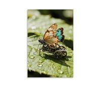 CBWVUWHJW A Mechanical Butterfly Rests Beside A Real Butterfly with Broken Wings, Gears And Scales Blending in The Morning Dew Fashionable Wall Decor - Hanging Art Poster And Mural08x12inch(20x30cm)