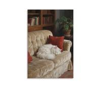 CBWVUWHJW A Persian Cat on The Sofa, Curled Up Into A Ball Sleeping Fashionable Wall Decor - Hanging Art Poster And Mural16x24inch(40x60cm)
