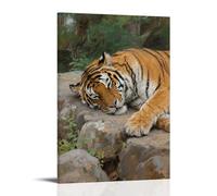 CBWVUWHJW A Tiger Lies on A Rock, Dozing with Eyes Half-closed Fashionable Wall Decor - Hanging Art Poster And Mural20x30inch(50x75cm)