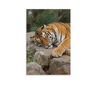 CBWVUWHJW A Tiger Lies on A Rock, Dozing with Eyes Half-closed Fashionable Wall Decor - Hanging Art Poster And Mural12x18inch(30x45cm)