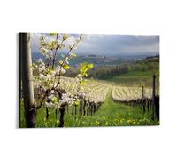 CBWVUWHJW Landscape - Spring Blossoms in An Italian Vineyard Fashionable Wall Decor - Hanging Art Poster And Mural08x12inch(20x30cm)