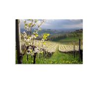 CBWVUWHJW Landscape - Spring Blossoms in An Italian Vineyard Fashionable Wall Decor - Hanging Art Poster And Mural20x30inch(50x75cm)