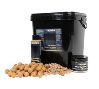 CC Moore Live System Carp Fishing Session Pack- All Sizes