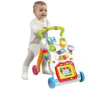 Ccarzzi Baby Walker First Step Baby Push Along Walker with Shapes, Music and Sound for Boys Girls 1 Year olds