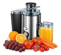Ccarzzi Juicer Machines 1000W Stainless Steel Centrifugal Juicer for Whole Fruit and Vegetables, with 2-Speed Setting, 65mm Feed Chute, Large Capacity Cup, for Extracting Fresh Juice