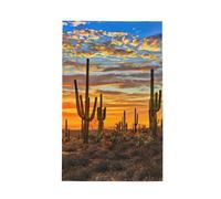 cchgnm Sunset Cactus In Desert Print Waffle Kitchen Towels,Multi-Functional Cleaning Towels,Dishcloths,Tea Towels.